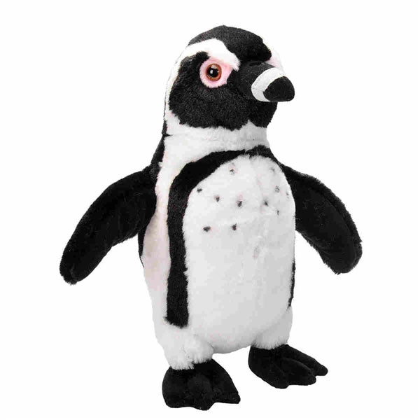 BLACK FOOTED PENGUIN- 12"